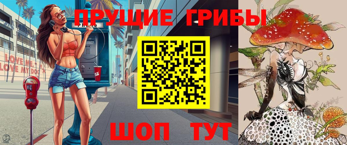 Волхов  Псилоцибиновые грибы мицелий  купить наркотик  Вход с VPN 