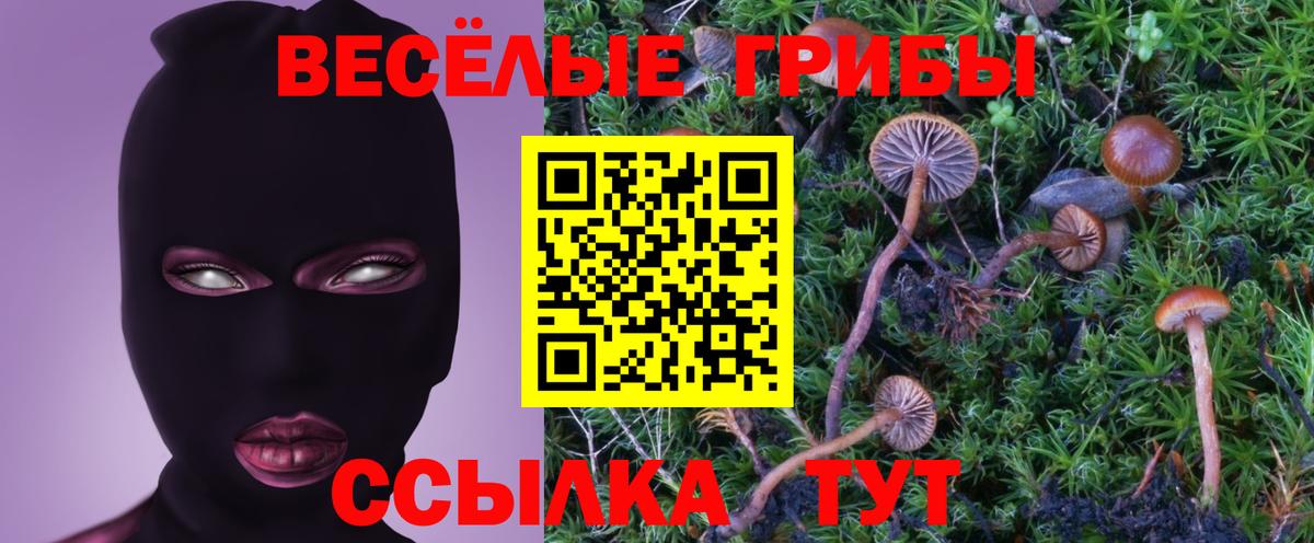 Псилоцибиновые грибы ЛСД Волхов